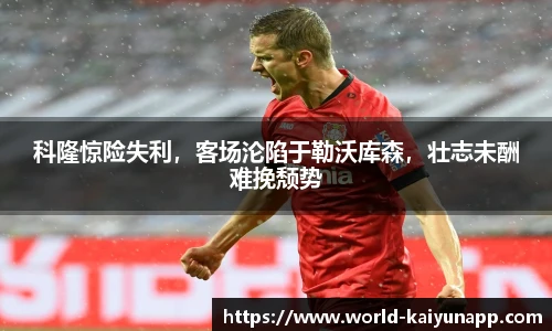 开云体育官网